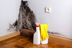 Why You Should Choose Our Mold Remediation Services in Lakeview, NY